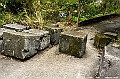 _DSC1029