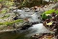 _DSC1040