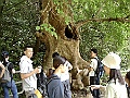 SANY1620