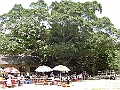 SANY1640