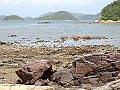 SANY1656