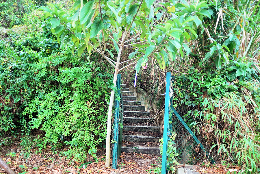 DSC_4862.jpg