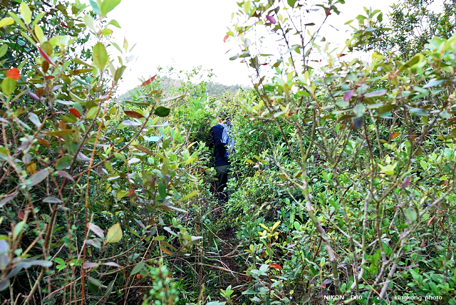 DSC_4888.jpg