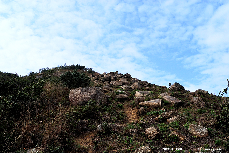 DSC_5128.jpg