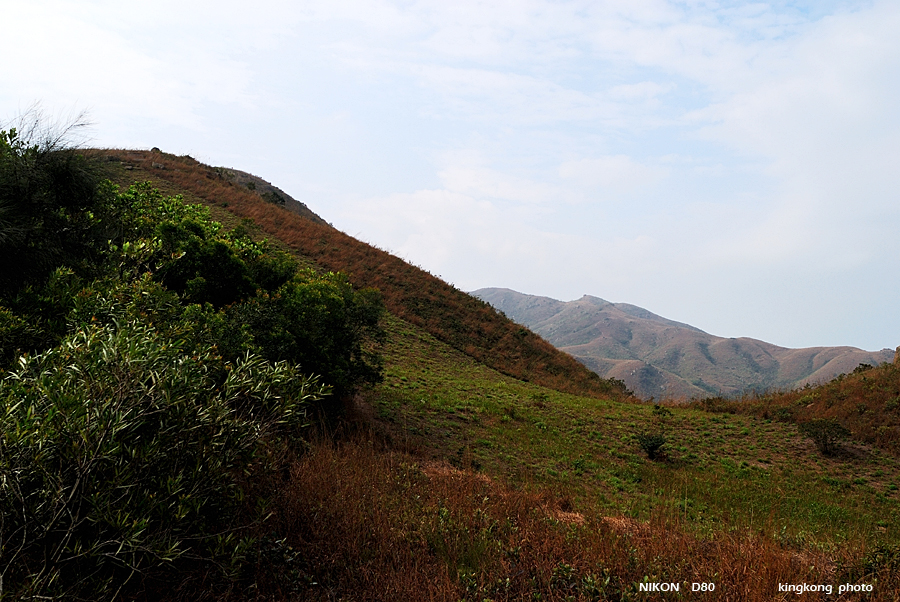 DSC_5164.jpg