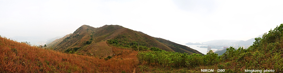 DSC_5255.jpg