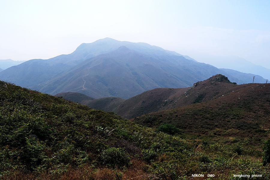 DSC_5341.jpg