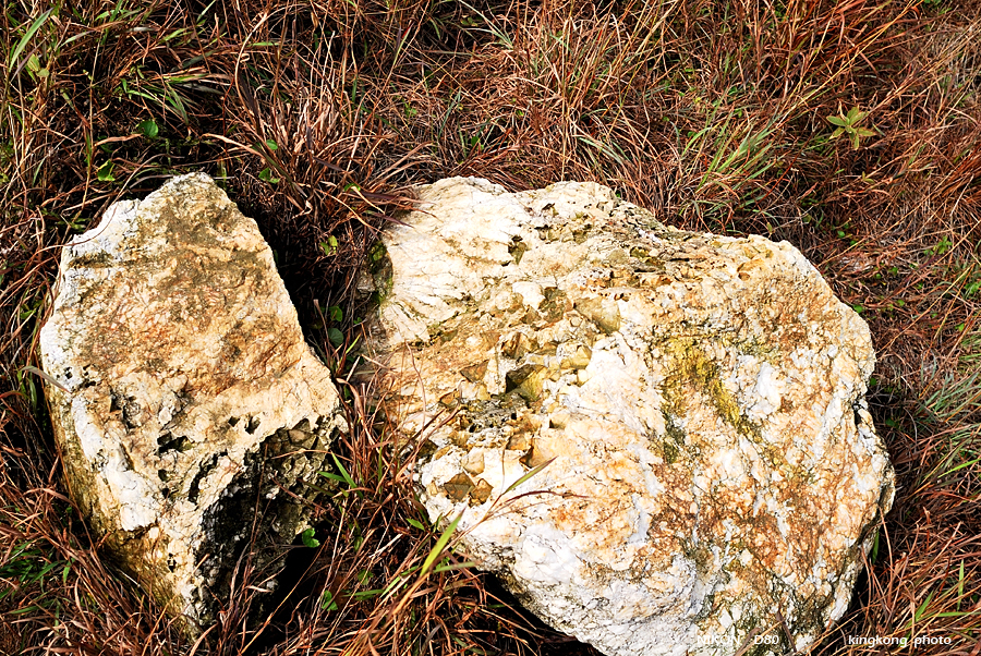 DSC_5346.jpg
