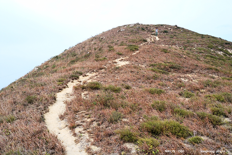 DSC_5396.jpg