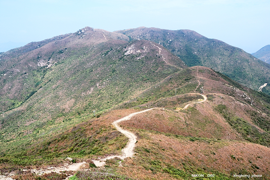 DSC_5457.jpg