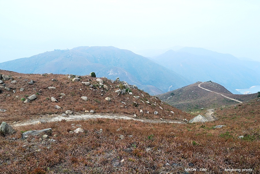 DSC_5465.jpg