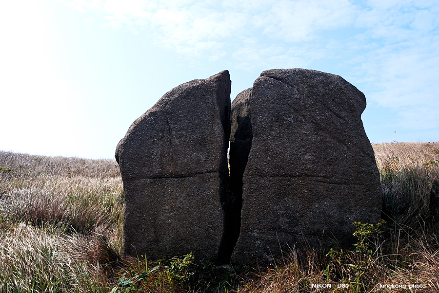 DSC_5484.jpg