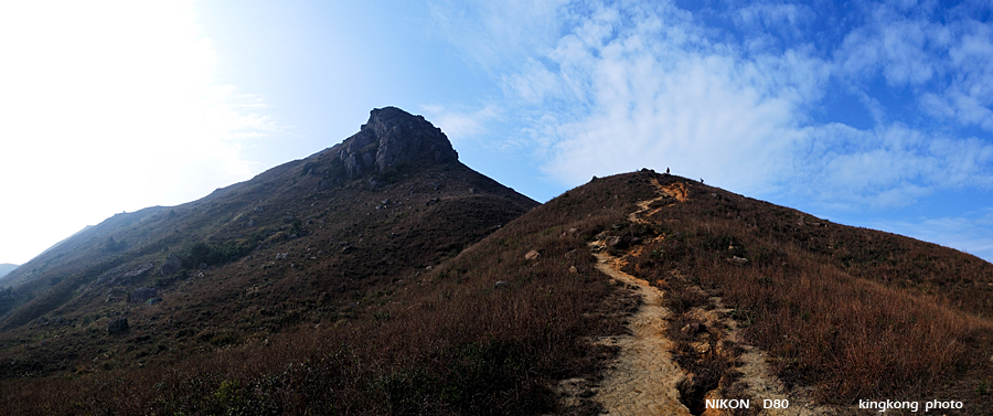 DSC_5600.jpg