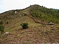 IMG_7547