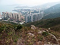 IMG_7557