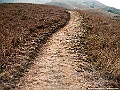 IMG_7563