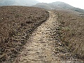 IMG_7564
