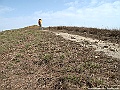 IMG_7566