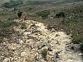 IMG_7570