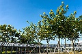 _DSC4231