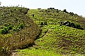 _DSC4323
