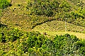 _DSC4331