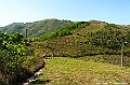 _DSC4334