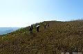 _DSC4350