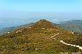 _DSC4401
