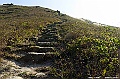 _DSC4406