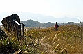_DSC4415