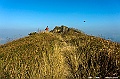 _DSC4421