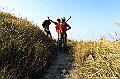 _DSC4429