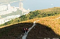 _DSC4446