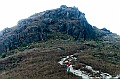_DSC4453