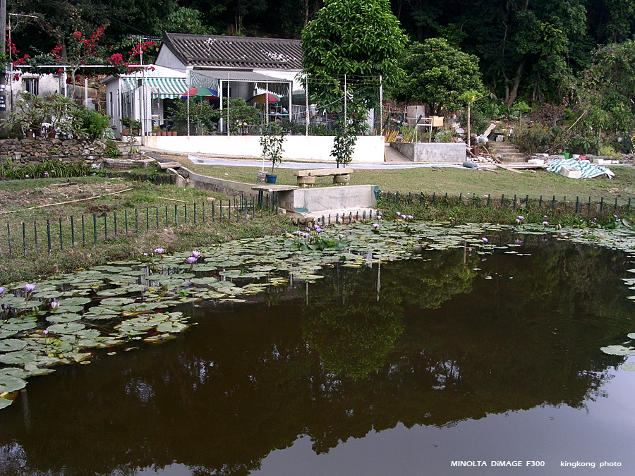 PICT2742.JPG - 元荃古道