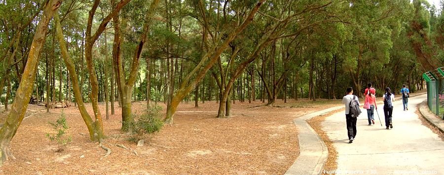 TaiTongNatureTrail2.JPG - �����j�D