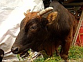 DSCF1656