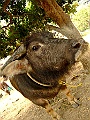 DSCF1661