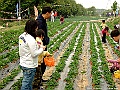 DSCF1663