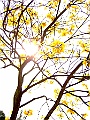 DSCF1682