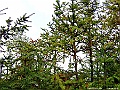 DSCF1683