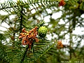 DSCF1684