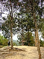 DSCF1685
