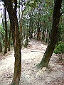 DSCF1688