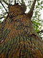 DSCF1690