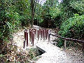 DSCF1696