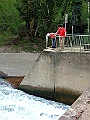 DSCF1717