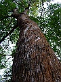 DSCF1744