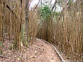 DSCF1748